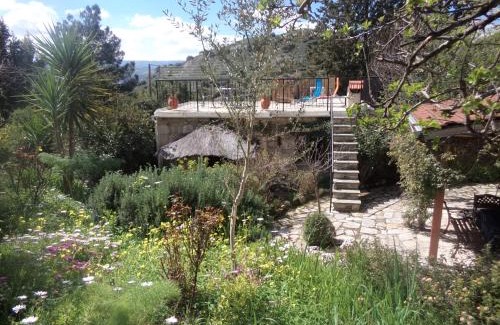 Lemona Casa | Oleander Stone House