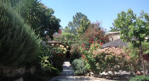 Lemona Casa | Oleander Stone House