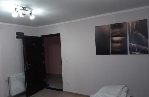Stari Banovci Apartamento | Olimpic Apartmani BG