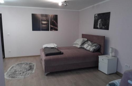 Stari Banovci Apartamento | Olimpic Apartmani BG