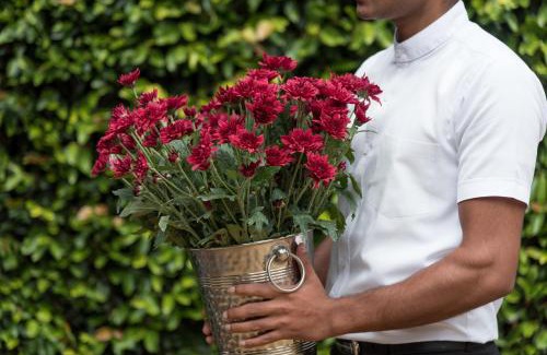 Nuwara Eliya Villa | Oliphant Boutique Villa by Amaya