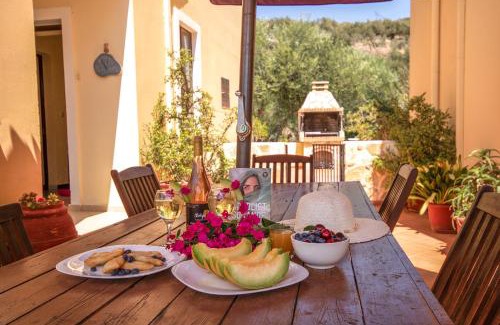 Agia Marina Villa | Olive Farm
