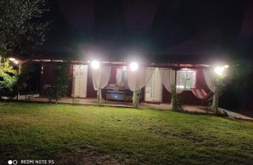 Kiparissia Cabina | Olive garden guest house