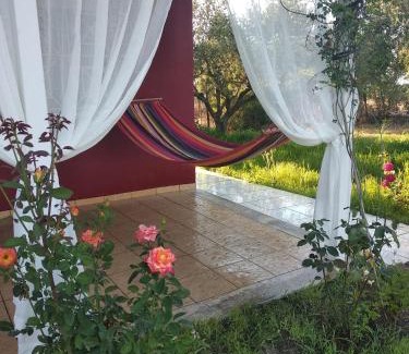 Kiparissia Cabina | Olive garden guest house