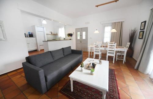 Panormos Casa | Olive garden house