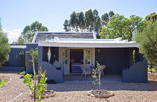 Prince Albert Casa | Olive Grove Pip