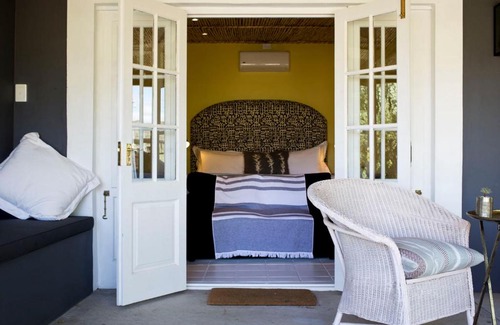 Prince Albert Casa | Olive Grove Pip