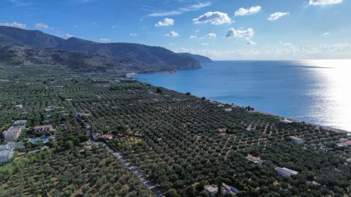 Mattinata Apartamento | Olive&Sea Villa-SEA