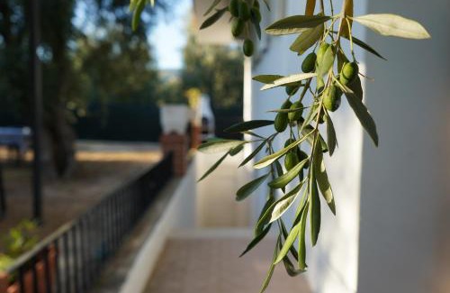 Mattinata Apartamento | Olive&Sea Villa-SEA