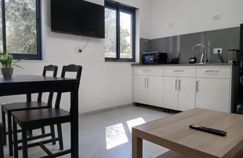 Beit Hillel Apartamento | Olive shade