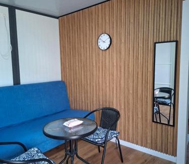 Majd el Kurum Otro | Olive tiny house
