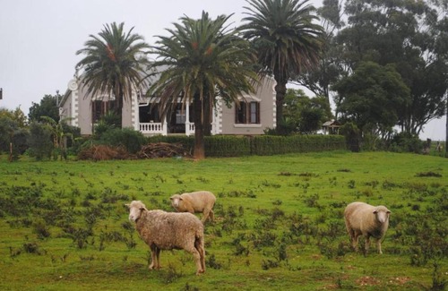 Moorreesburg Casa | Olive Tree Guesthouse