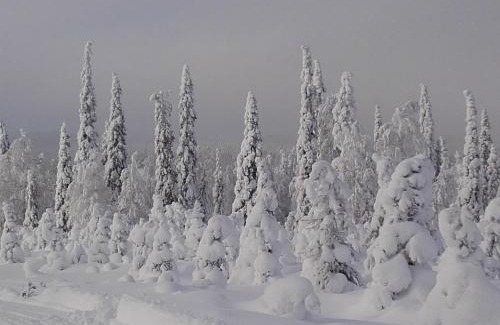 Kuusamo Casa | Ollilan Lomamajat