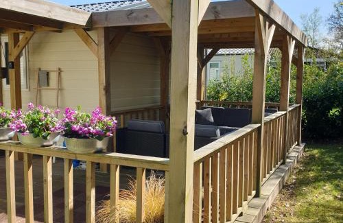 Oude Willem Otro | Olm29 Vakantiewoning in het Drents Friese Wold vlakbij Diever Zwembad, Animatie, Restaurant, Wandelen, Natuur