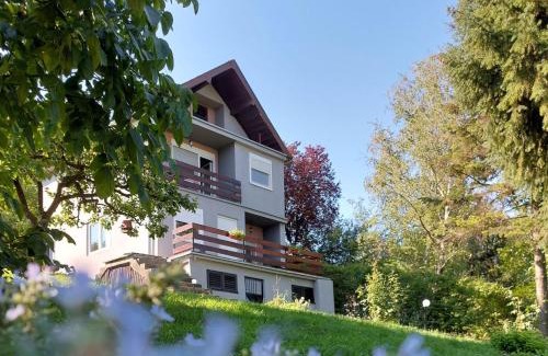 Banostor Apartamento | OLOR Apartman 2 - Banoštor