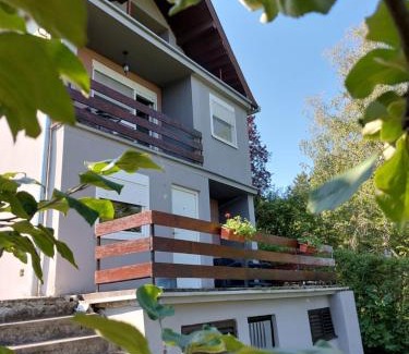 Banostor Apartamento | OLOR Apartman 2 - Banoštor