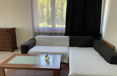 Trimbach Apartamento | Olten with a View