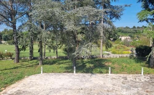 Selva di Fasano Cabina | Oltre la Vite