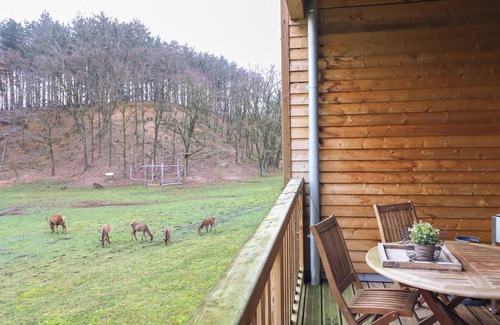 Maaseik Apartamento | On cycling holiday with the whole family!