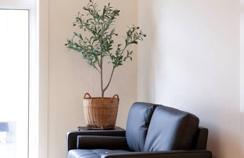 Woodstock Apartamento | On Trend - The Charlotte - King