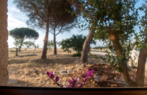 Giorgilorio Casa | Érase una vez, había una casa de campo dentro de Masseria Sitamara