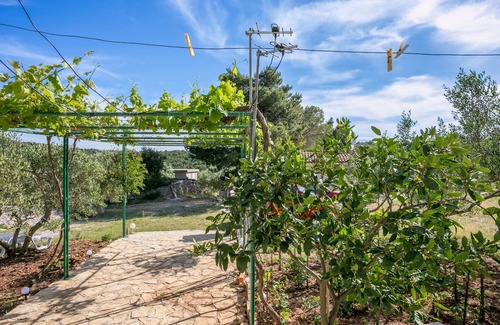 Cove Osibova (Milna) Apartamento | Apartamento de una habitación con una terraza Bahía Smrčeva, Brac (A-20193-b)
