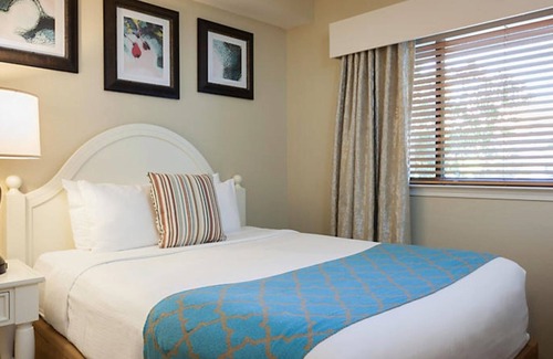 Pigeon Forge Complejo | One Bedroom Condo, Laurel Crest (2730263)