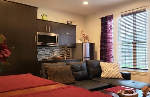 Hoffman Estates Apartamento | ONE-BEDROOM EUROPEAN STYLE DELUXE SUITE