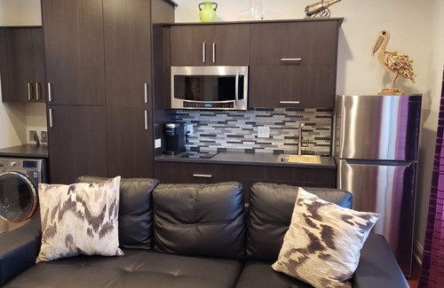 Hoffman Estates Apartamento | ONE-BEDROOM EUROPEAN STYLE DELUXE SUITE