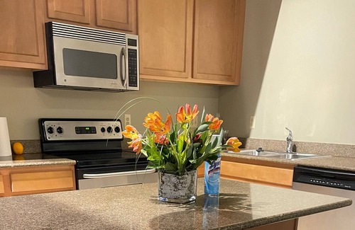Detroit Apartamento | One bedroom with a beautiful view downtown Detroit With Free Parking