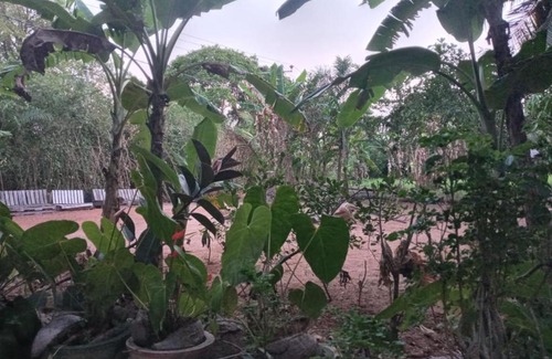 Sigiriya Casa | One More Night Homestay