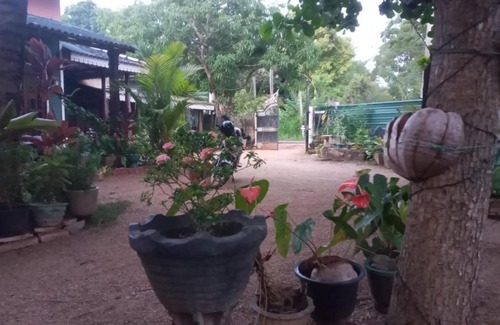 Sigiriya Casa | One More Night Homestay