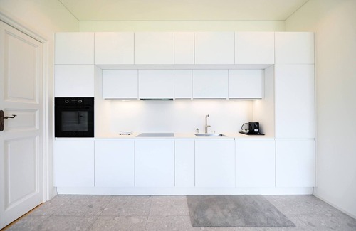 Lugano City-Centre Apartamento | Una y única suite central con jardín