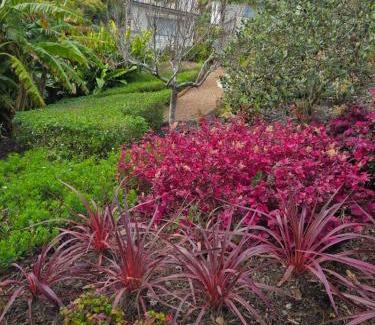 Oneroa Apartamento | Oneroa Secret Garden Apartments