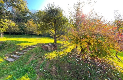 Csorvas Alquiler De RV | Only pitches for mobile homes, tiny houses, tents & others on own land. Property!