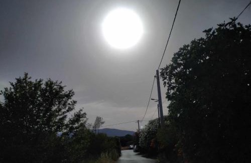 Pallini Casa | Only Sun