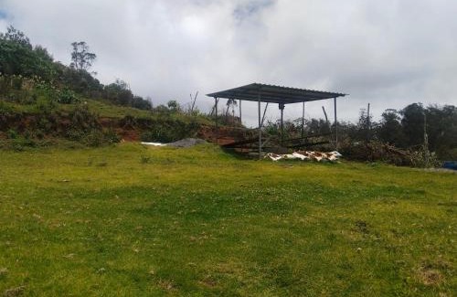Ooty Casa | ooty dreams cottage