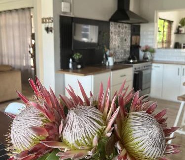 Eikenbosch Casa | Open living family home in the Winelands