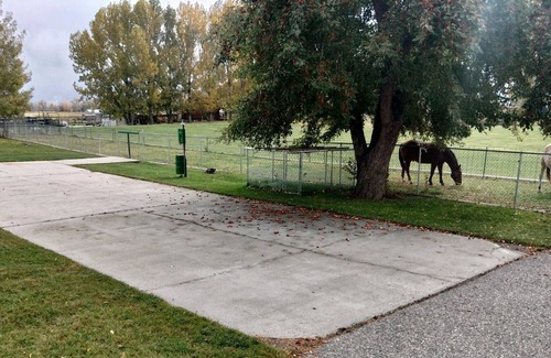Edgar Apartamento | Open Spaces, Dog and Horse friendly.