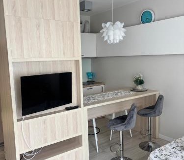 Bialystok Apartamento | Opera Apartment