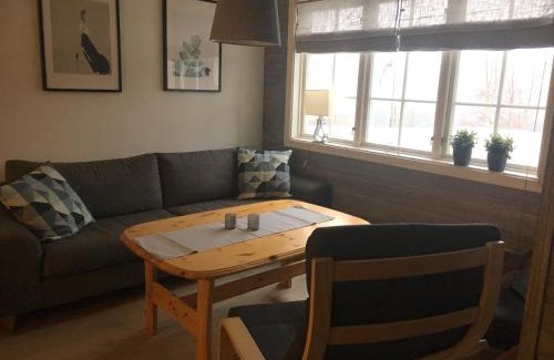 Oppdal Apartamento | Oppdal Alpintun, Stølen øvre - ski in ski out