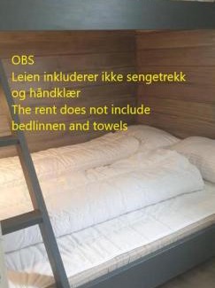 Oppdal Apartamento | Oppdal Alpintun, Stølen øvre - ski in ski out