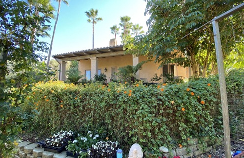 Covenant Cabaña | Orange Blossom Guesthouse - in the heart of Rancho Santa Fe, CA.