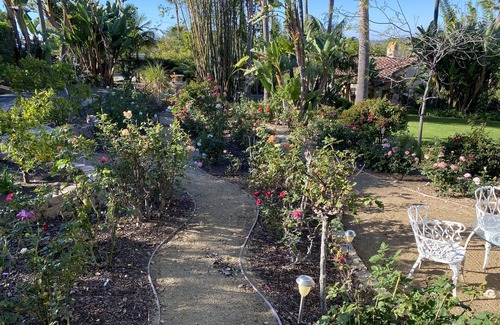 Covenant Cabaña | Orange Blossom Guesthouse - in the heart of Rancho Santa Fe, CA.