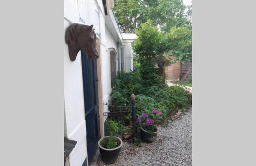 Paterswolde Apartamento | Oranjerie, 7 km onder Groningen