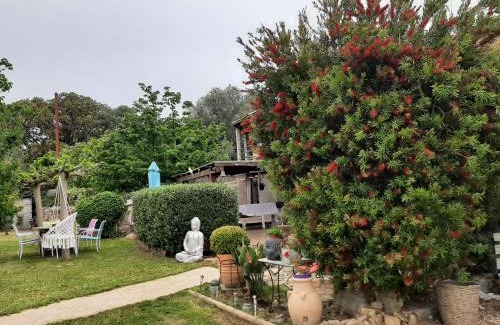 Sartene Chalet De Esquí | Orasi Sartène Chalet Casa Fiurita