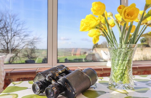 Hartwell Cabaña | Orchard Cottage
