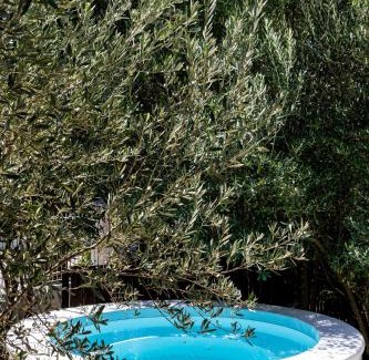 Riebeek Kasteel Apartamento | Orchard Cottage