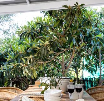 Riebeek Kasteel Apartamento | Orchard Cottage