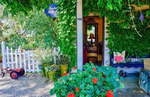 Paso Robles Casa | Orchard Hill Farm